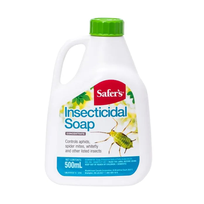 Safers Soap Conc 500Ml