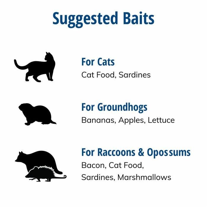 Live Animal Trap | Cats Rabbits Marmots | Double Door | Havahart 1045