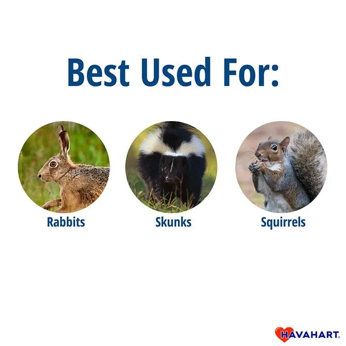 Live Animal Trap | Skunk Squirrel Weasel | Easy Set | Havahart 1082