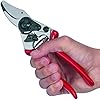Hand Pruner | Ergonomic | Felco F6 | Small Hands