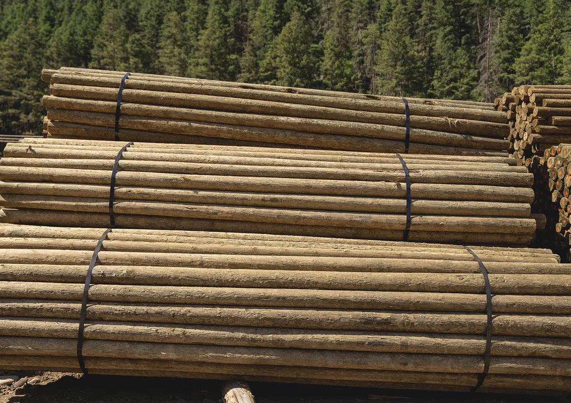 Fence Rails | Pressure Treated | 4-5 " Diameter | Contractor Grade | 70 per bundle | PWP