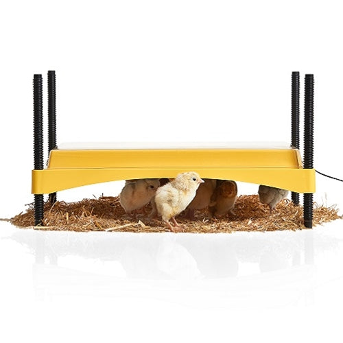 Brinsea 1200 | Chick Brooder | EcoGlow Safety