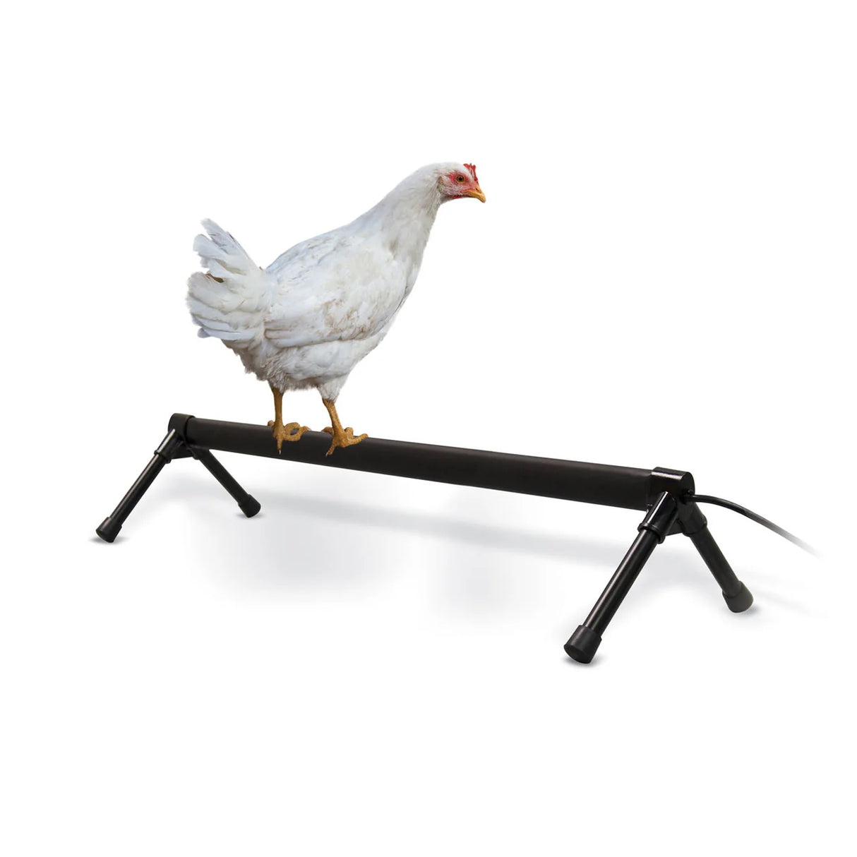 Chicken Perch | Heated | Thermostatically controlled | K & H 26 Inch