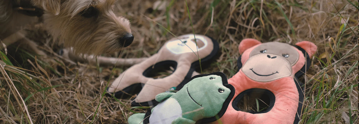 Dog Toys | Plush Sloth | Beco Rough & Tough Pet Toys