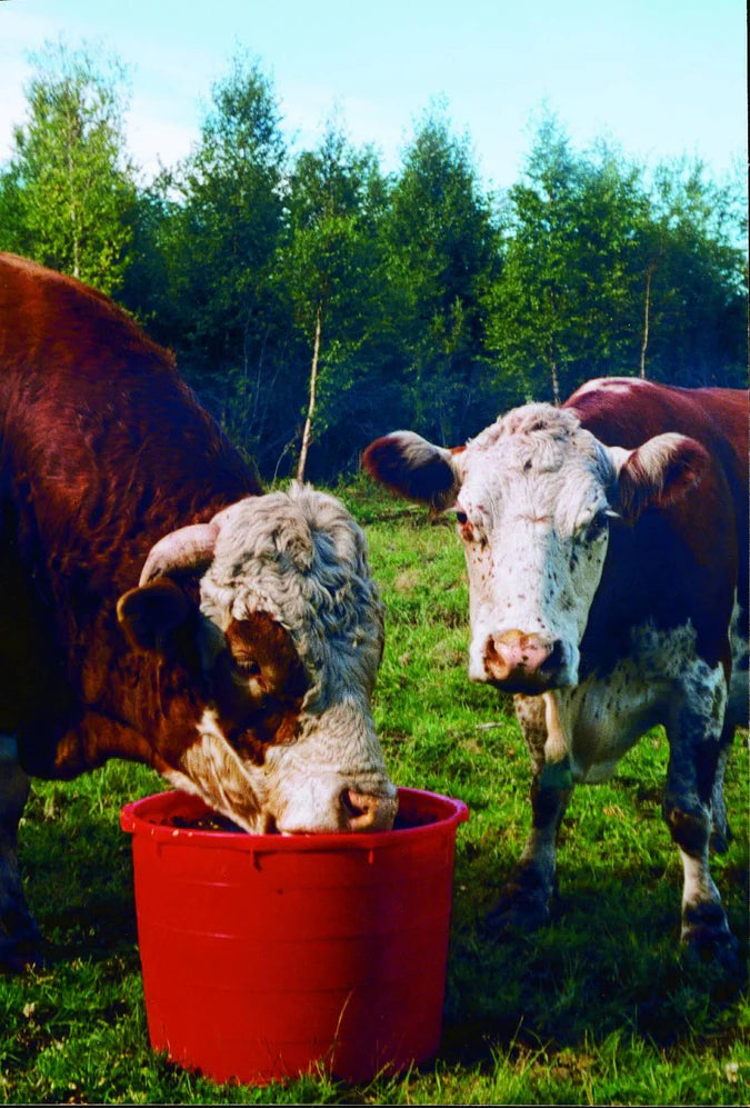 Agri-Blok™ 16% Protein Lick Tubs for Beef Cattle 110KG | Fibrozyme XLF Supplement Block