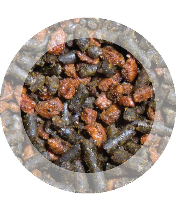 Purina Sport Elite Performance 20kg | Horse Feed