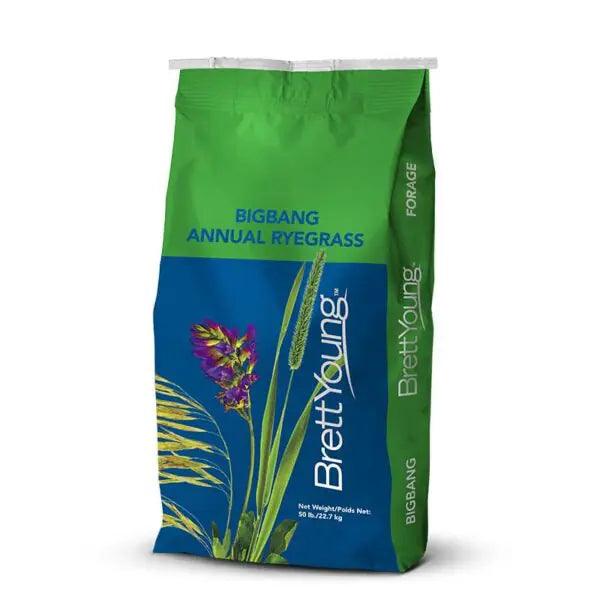 Big Bang Annual Ryegrass Seed | Premium Tetraploid | Brett Young | 50 LB Bag