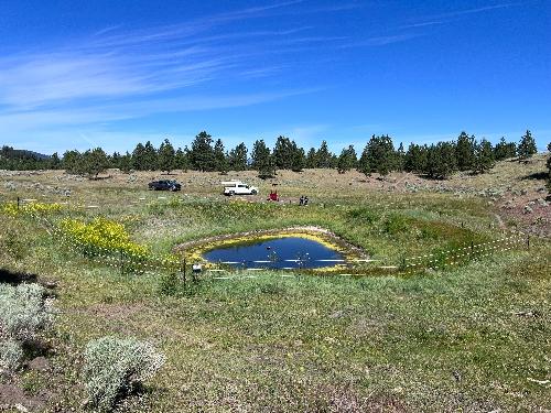 Stock Tank | Solar Powered | 250 Head Clearfab | Portable