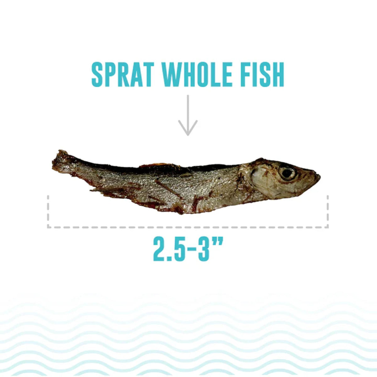 Icelandic+ Whole Fish Sprats Cat Treats | 0.85oz