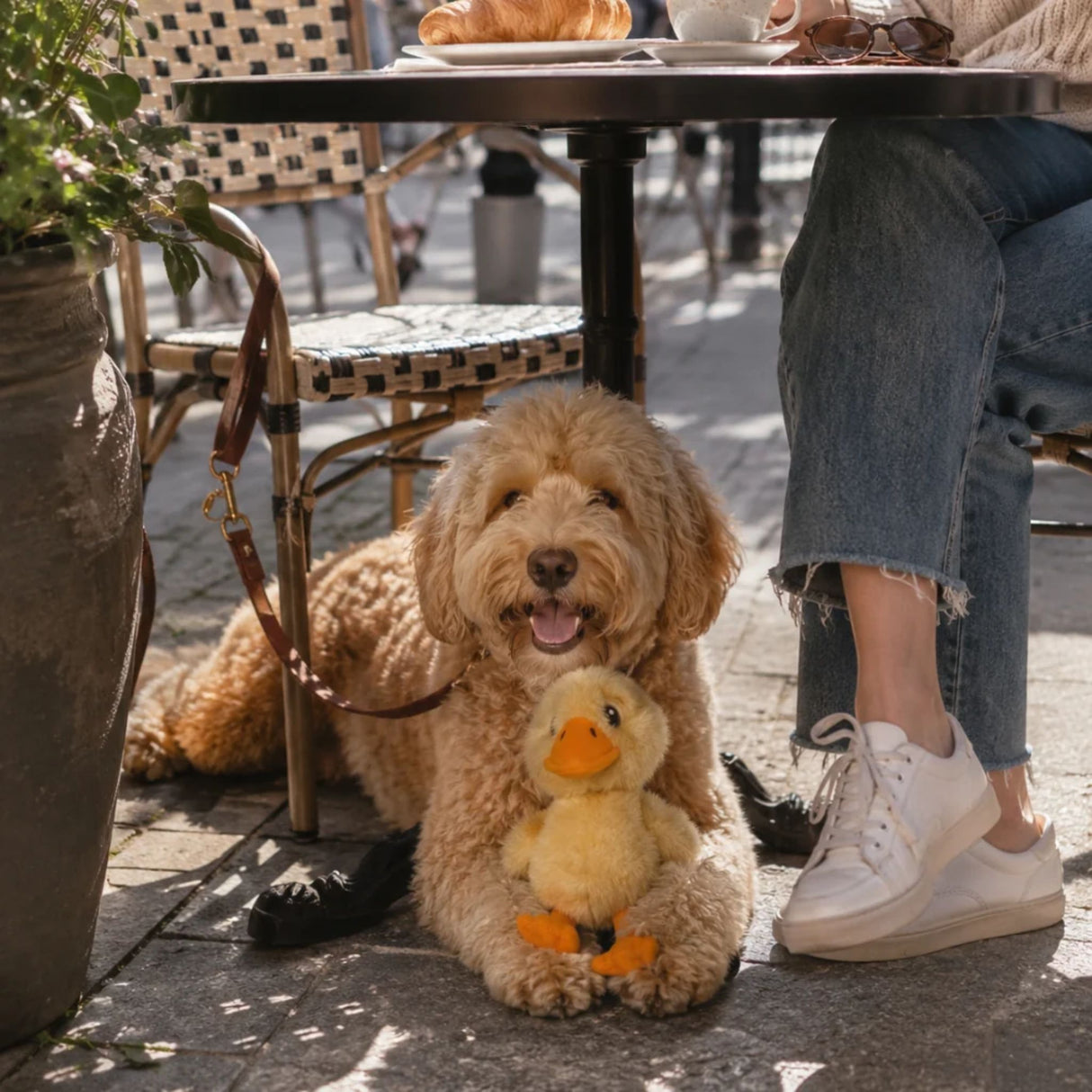 KONG Tough Duck Plush Dog Toy | Medium