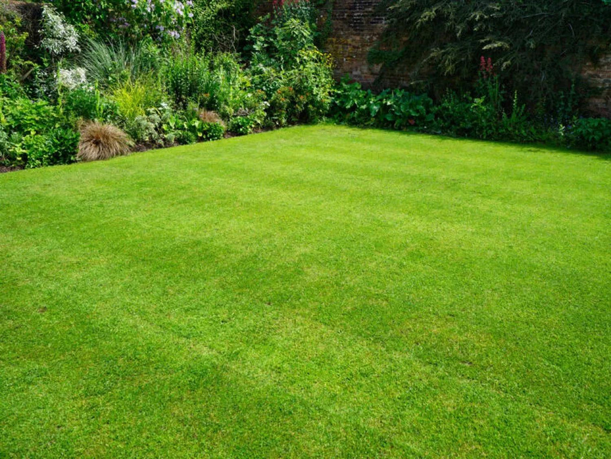Lawn Fertilizer | 25-5-15 with Micro Nutrients | Slow Release | 25 kg.