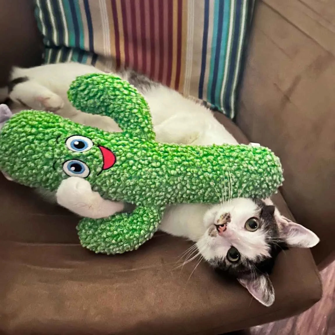 Cat Toys | Big Cactus Kickeroo | Kong Toy for Cats