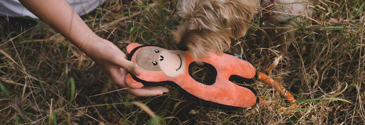 Dog Toys | Plush Orangutan | Beco Rough and Tough
