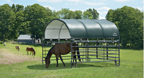 Shelter Logic Corral Shelter with a horse inside
