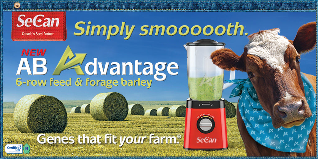 AB Advantage Six Row Seed Barley | Dual-Purpose Feed & Forage | 1000 Kg. Mini Bulk