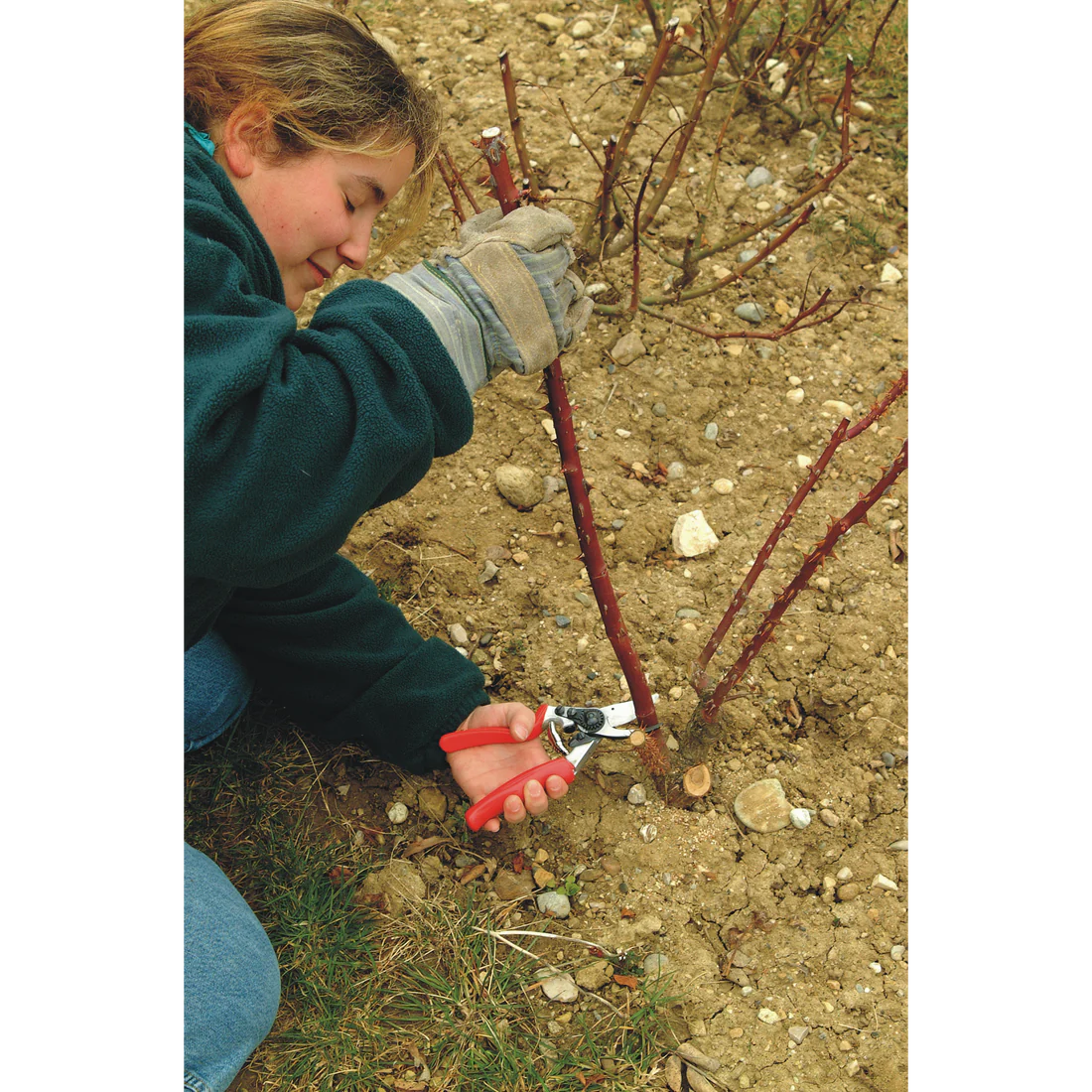 Felco 10 Left-Handed Hand Pruner - Professional Revolving Handle Bypass Shears
