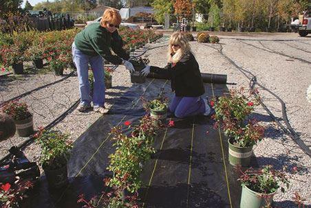 DeWitt/Gardener's Blue Ribbon Woven Ground Cover 4x300'