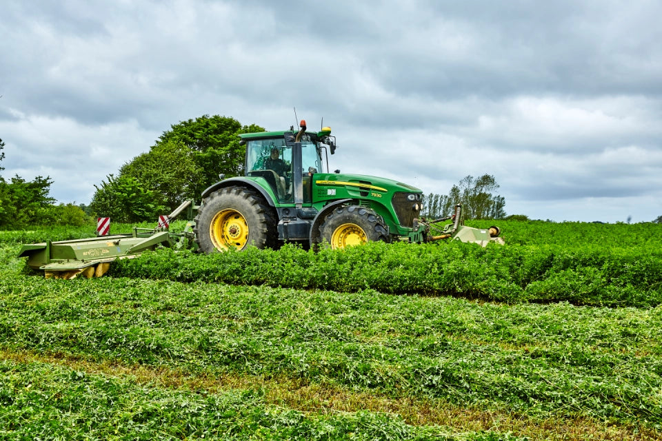 Eclipse Alfalfa Seed - Premium Multi-Race Disease Resistance | DLF Fiber Energy™