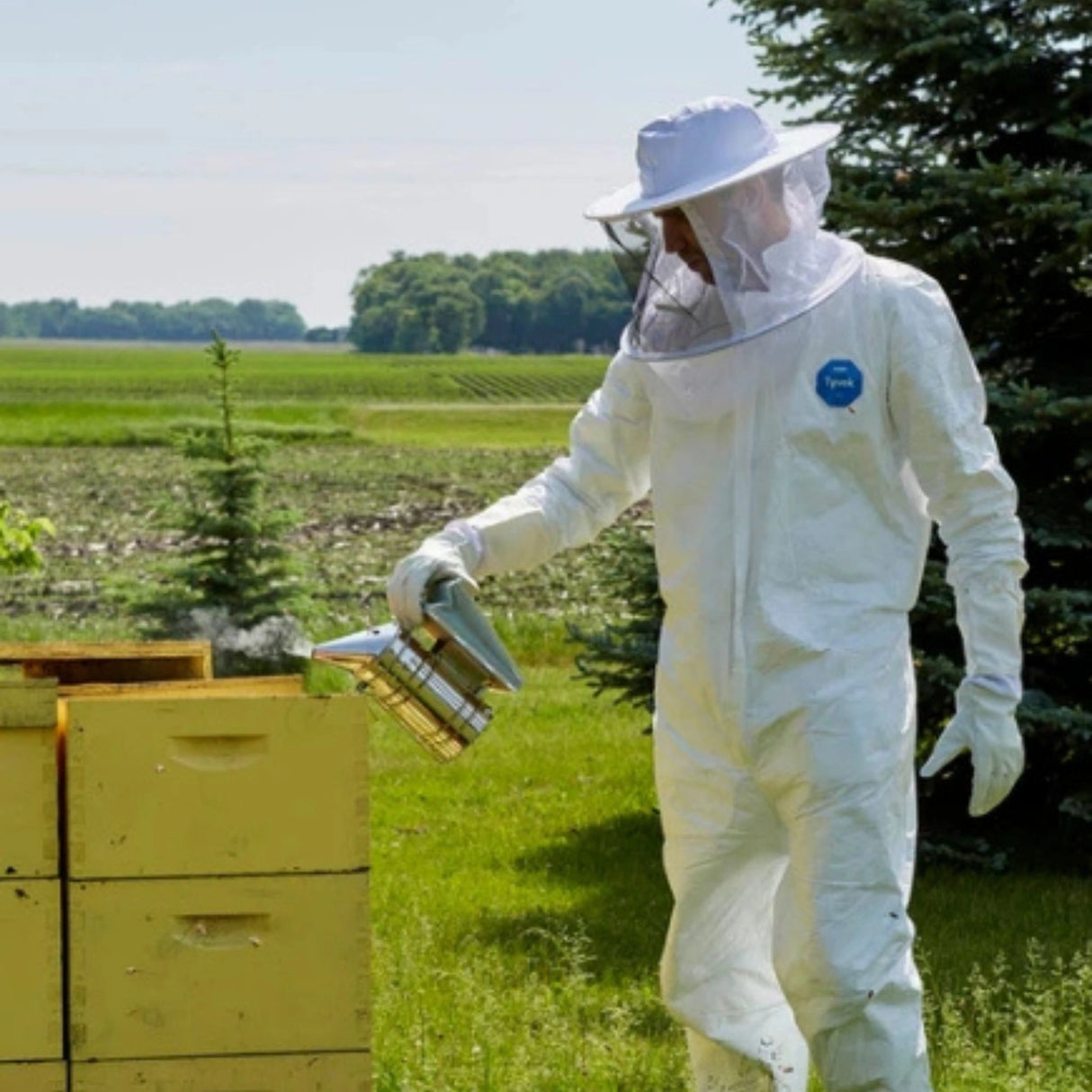 A beekeeper in a bee suit using a smoker to harvest honey in Kamloops, British Colombia