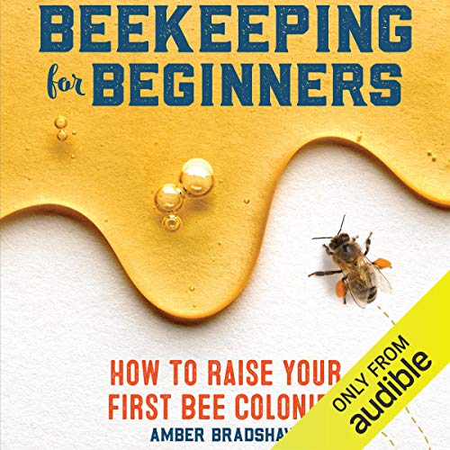 Beekeeping For Beginners amber Bradshaw