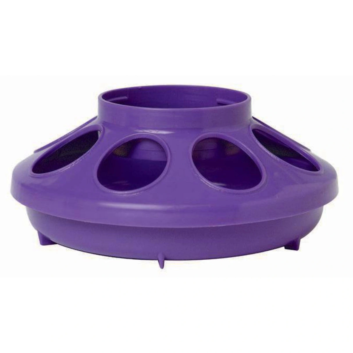 A front view of Little Giant 1 Quart Plastic Chicken Feeder Purple on a white background