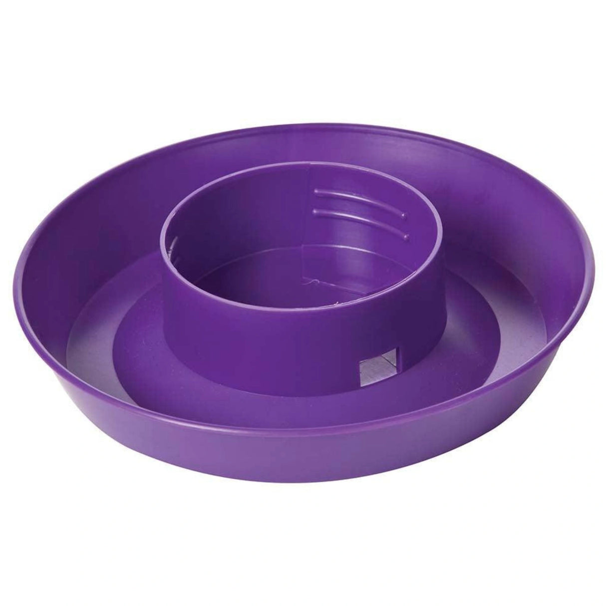 A front view of Little Giant Chicken Waterer 1 Quart Screw-On Poultry Waterer Base in Purple on a white background