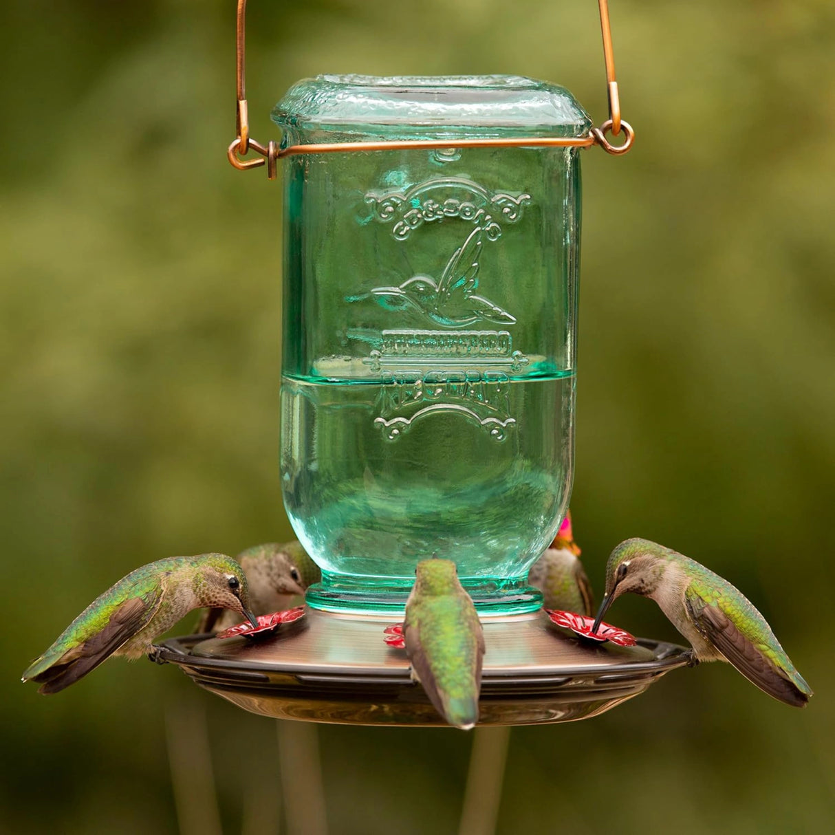 Classic Brands Hummingbird Feeder installed outdoors in Kamloops, British Columbia, with hummingbirds perched on the Hummingbird Feeder