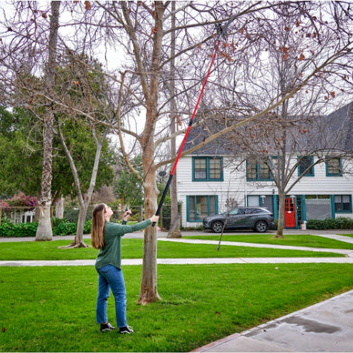 Corona Tree Pruner being used outdoors in Kamloops, British Columbia to prune tall backyard trees and branches