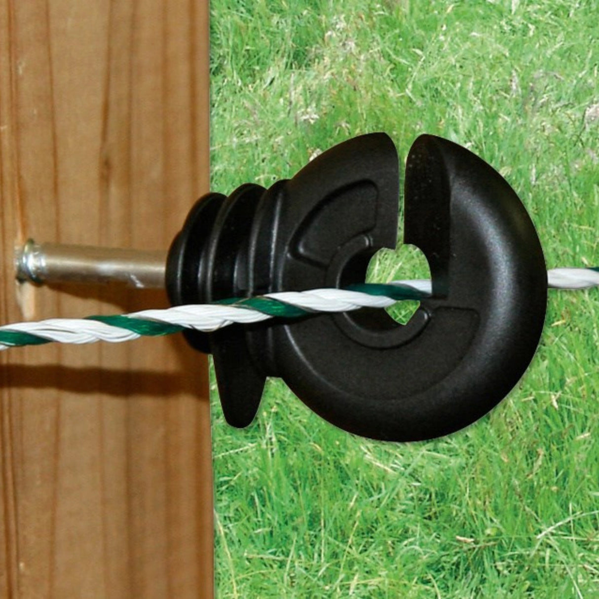 Corral Screw-In Ring Electric Fence Insulators installed on a wooden fence post holding a polyrope outdoors in Kamloops, British Columbia