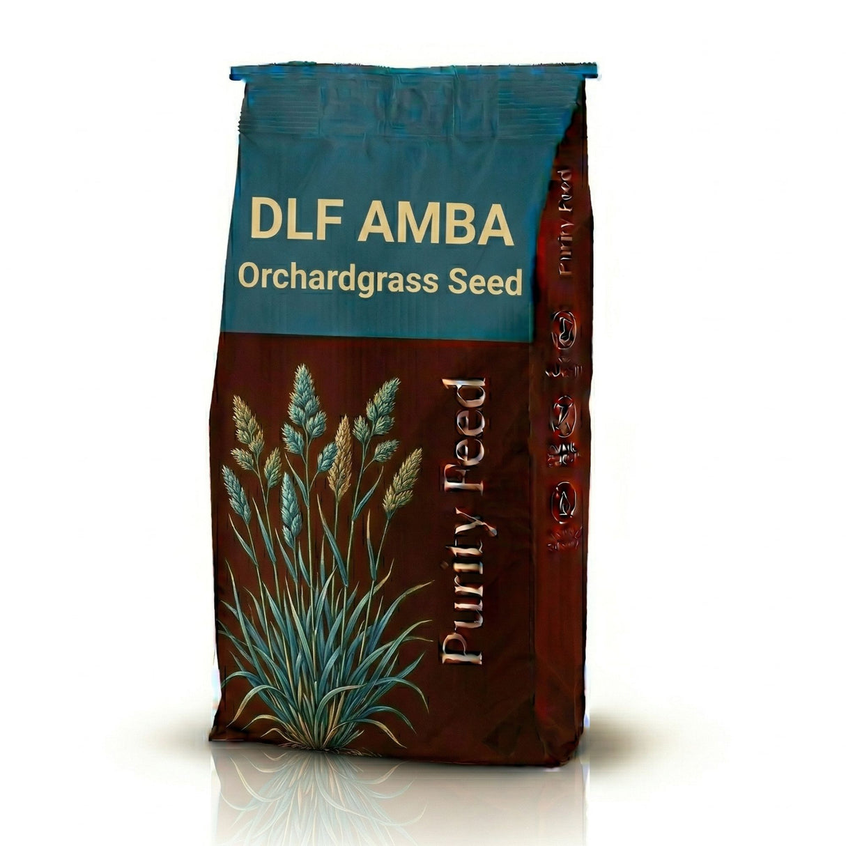 DLF AMBA Orchardgrass Seed - Winter Hardy Early Maturity | High Digestibility