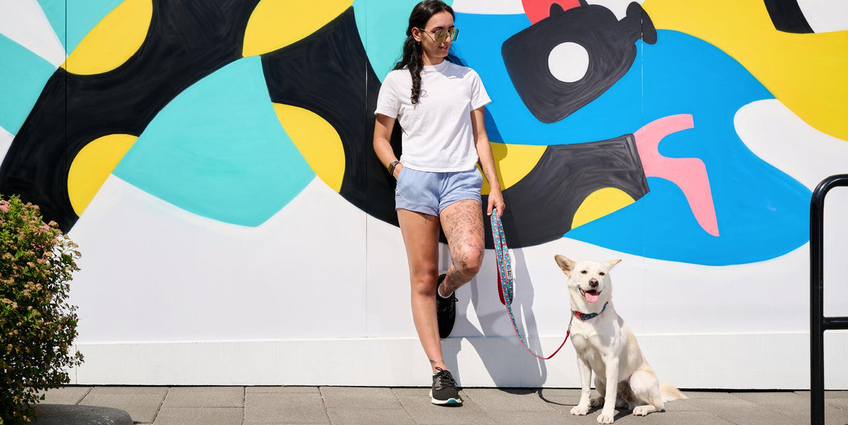 Dog Leash | 6 Feet | RC Pets