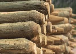 Wood Fence Posts | Pressure Treated | Rancher/Select Grade | 4-5 inch | 80 per Bundle