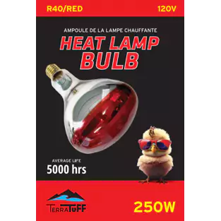 Heat Bulb | 250 Watt | Red Bulb R40