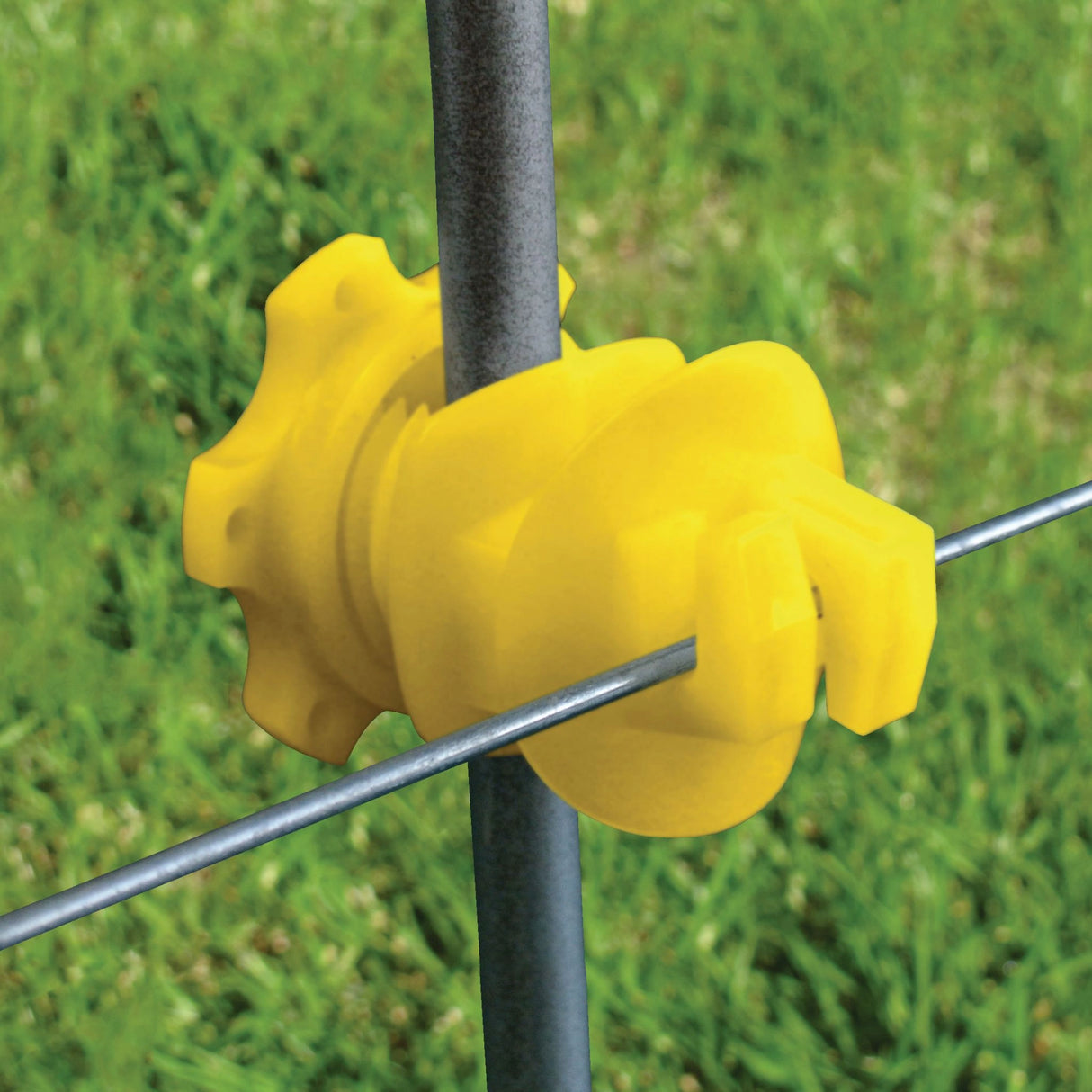 Patriot Electric Fence Insulators Screw On Rod Post installed on a fence post securing electric fence wire