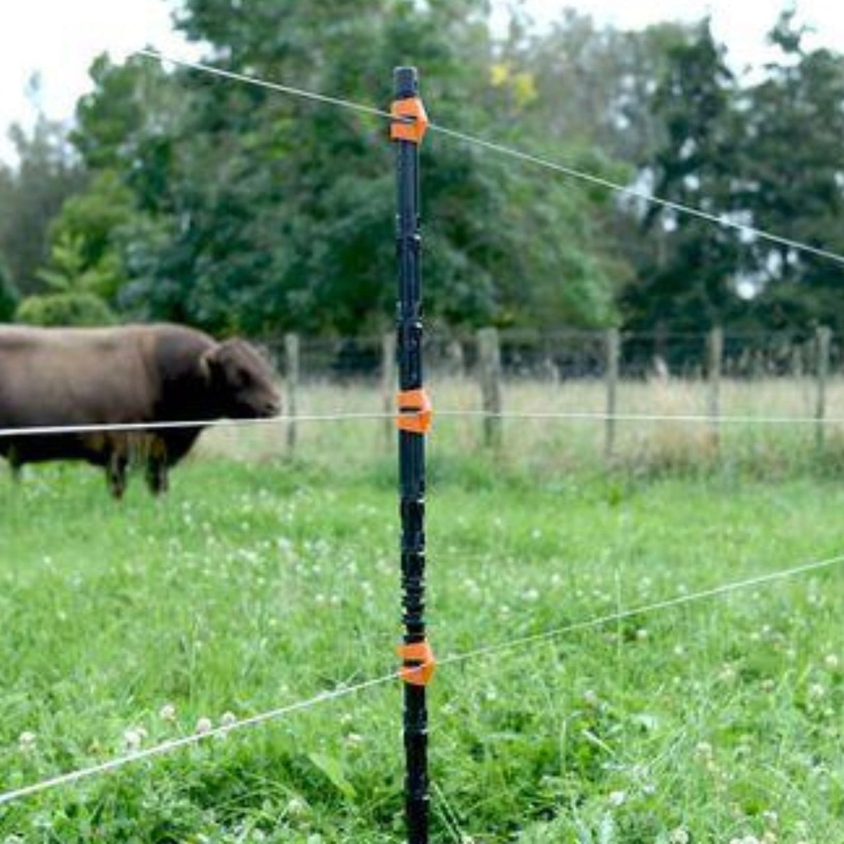 Gallagher Electric Fence Post Insulated Line Post 55.5 Inches Pack of 10 in use for livestock fencing, outside in Kamloops, British Colombia