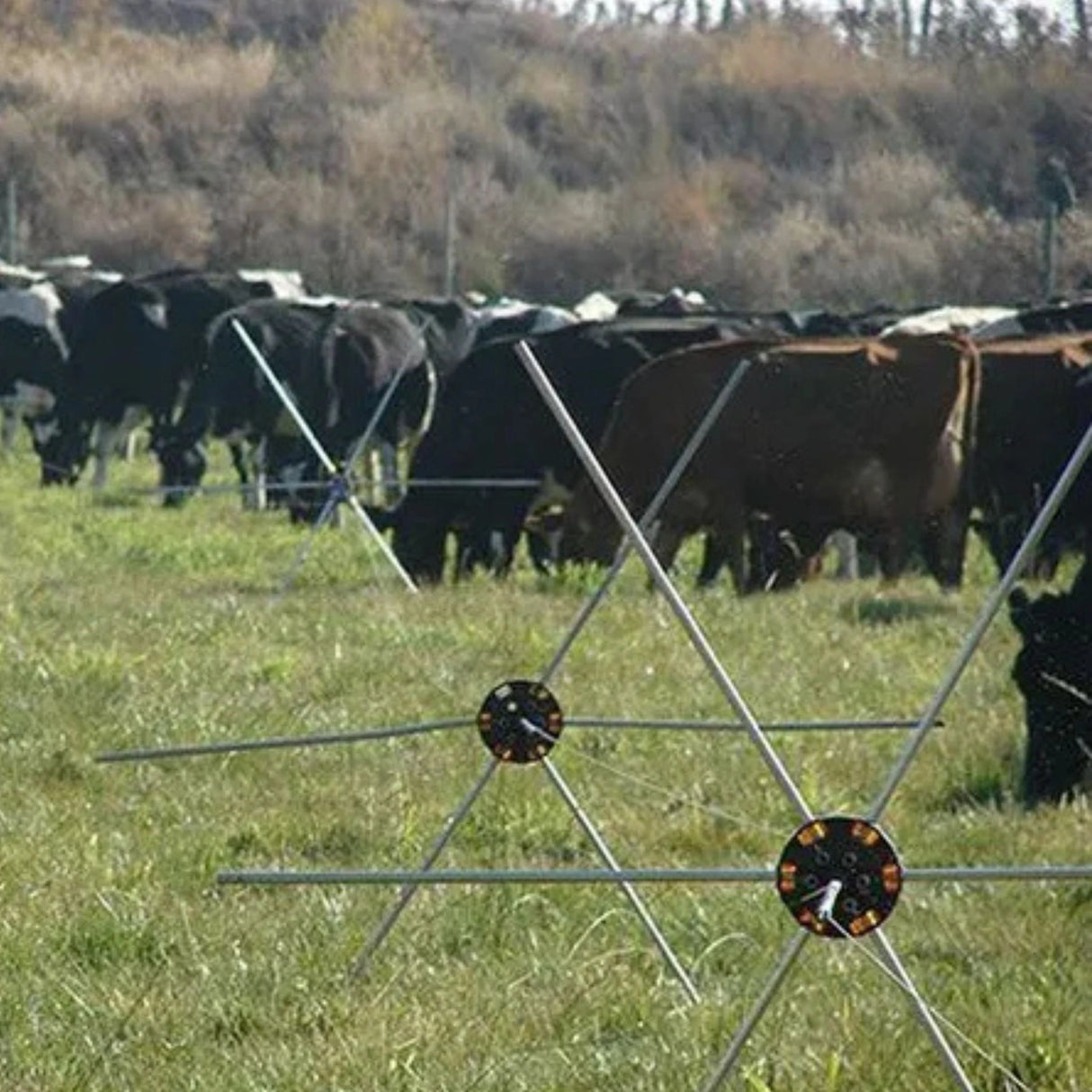 Gallagher Electric Fencing Tumblewheel being used in the outdoors of Kamloops, British Colombia