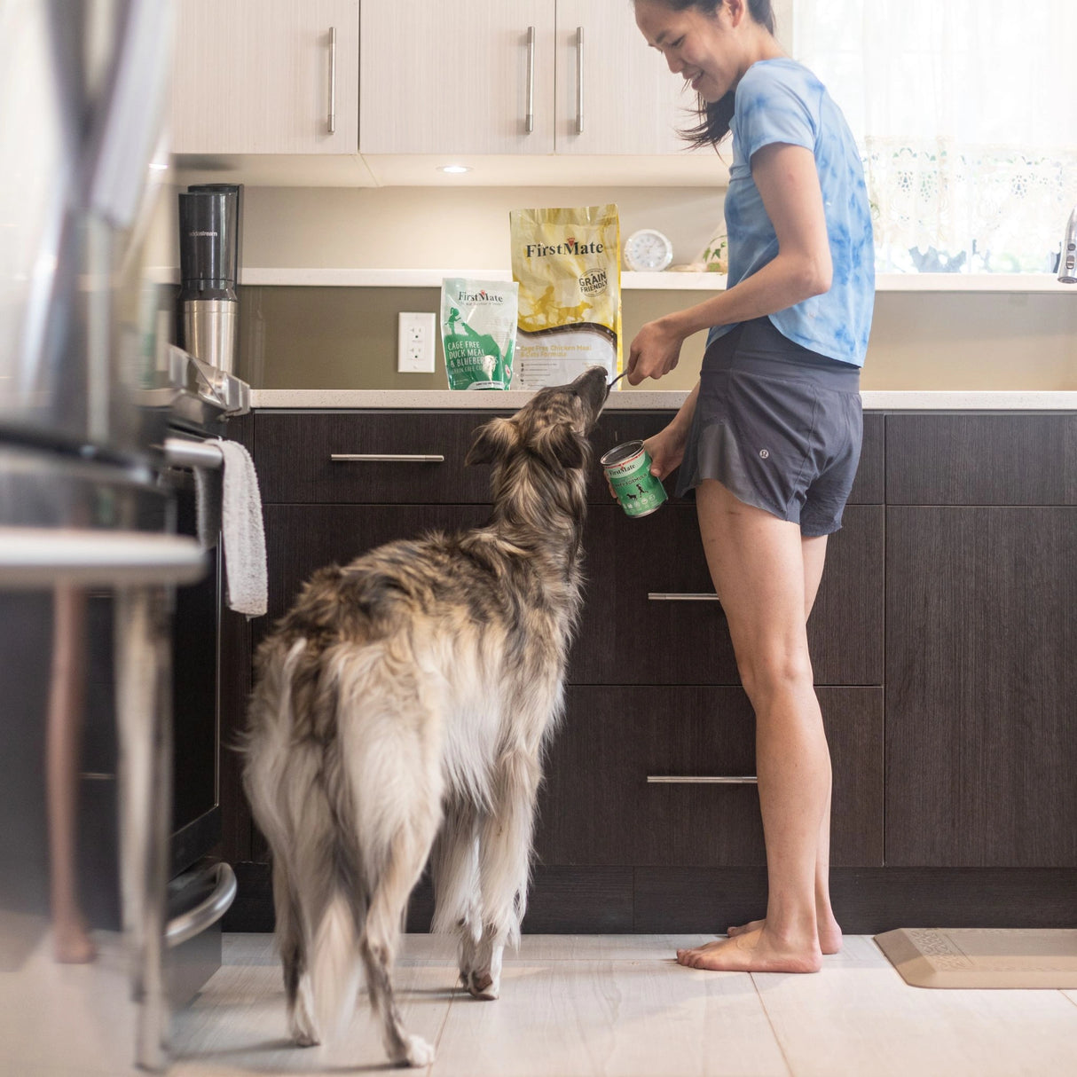 A dog in Kamloops, British Columbia, being spoon fed with dog food by it's owner