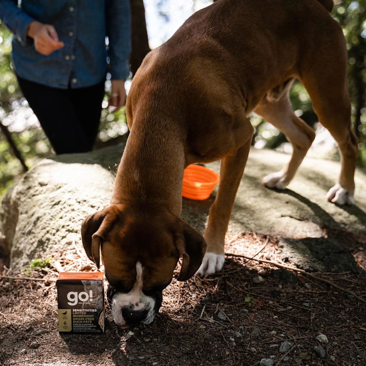 A happy dog enjoying Go! Solutions Sensitivities Limited Ingredient Grain Free Duck Recipe Dog Food outdoors of Kamloops, British Columbia
