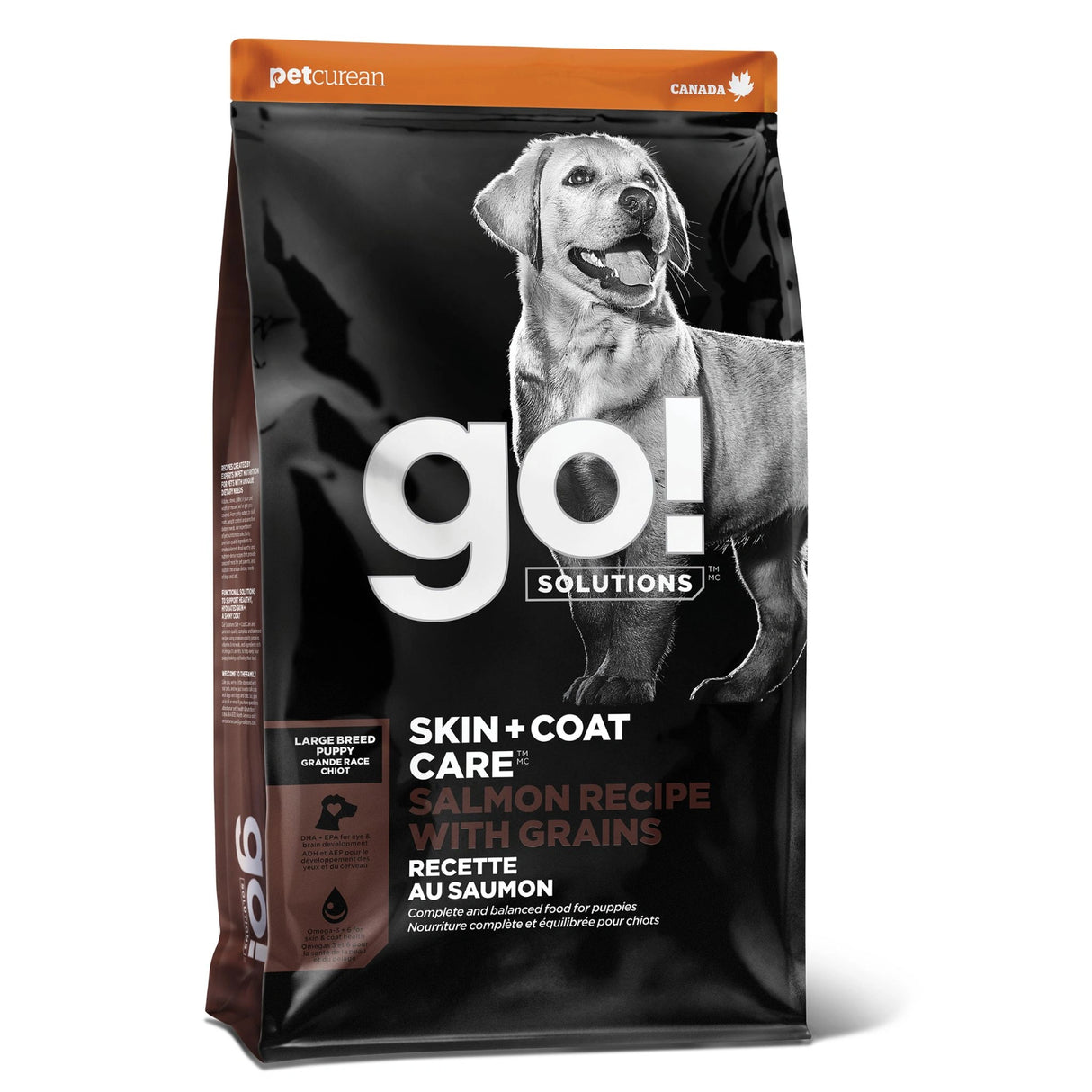 A front view of Go! Solutions Skin and Coat Care Large Breed Puppy Salmon Recipe with Grains Dog Food on a white background
