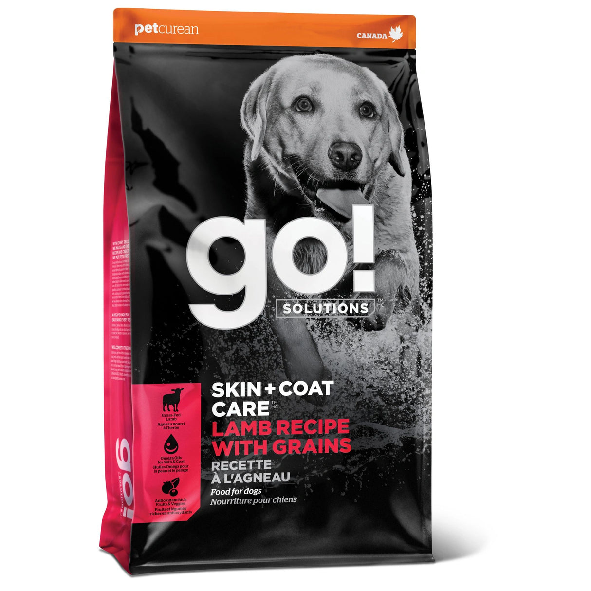 A front view of Go! Solutions Skin and Coat Care with Grains Lamb Recipe Dog Food on a white background