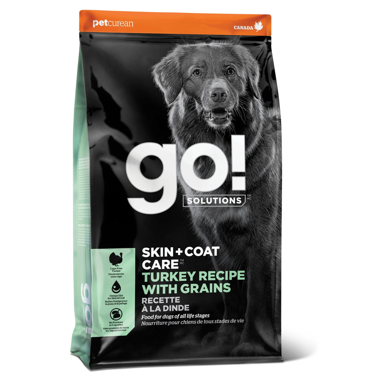 A front view of Go! Solutions Skin and Coat Care with Grains Turkey Recipe Dog Food on a white background