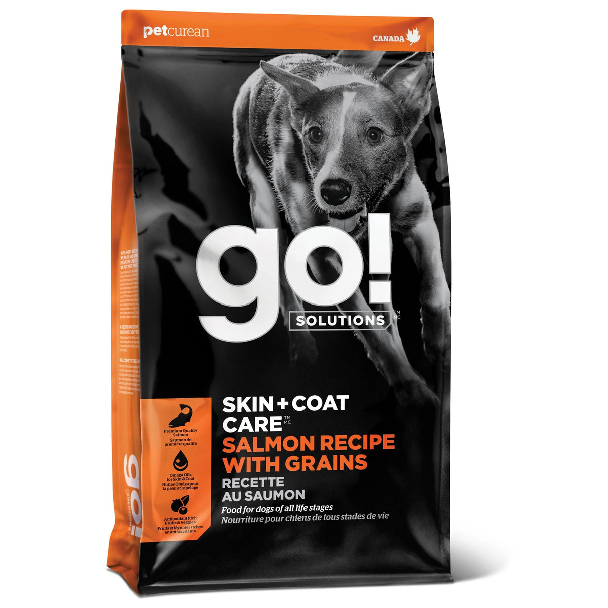 A front view of Go! Solutions Skin + Coat Care Salmon Recipe With Grains Dog Food on a white background