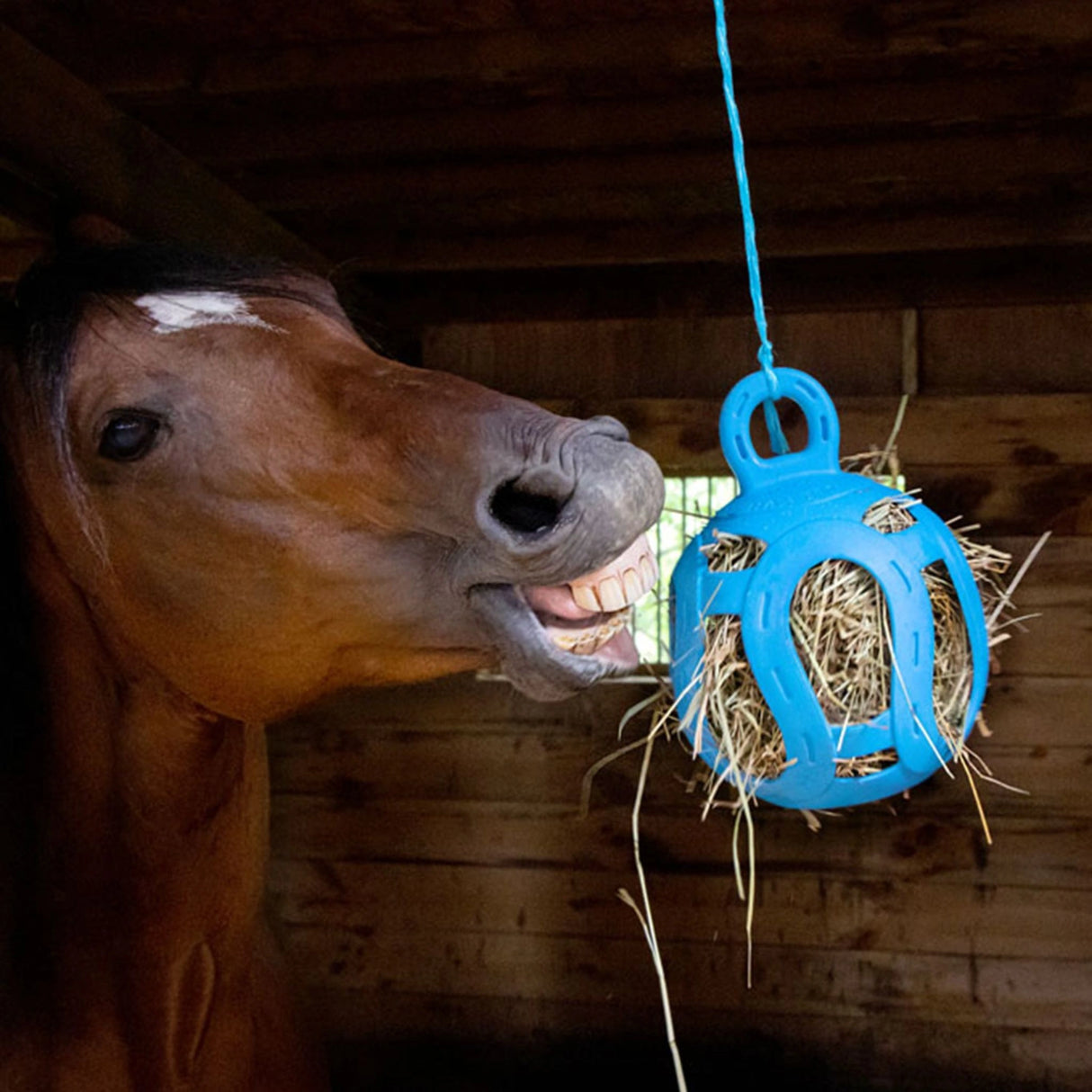 A horse enjoying Horsemen's Pride Hay Ball Jolly Hay Dispenser inside a stable