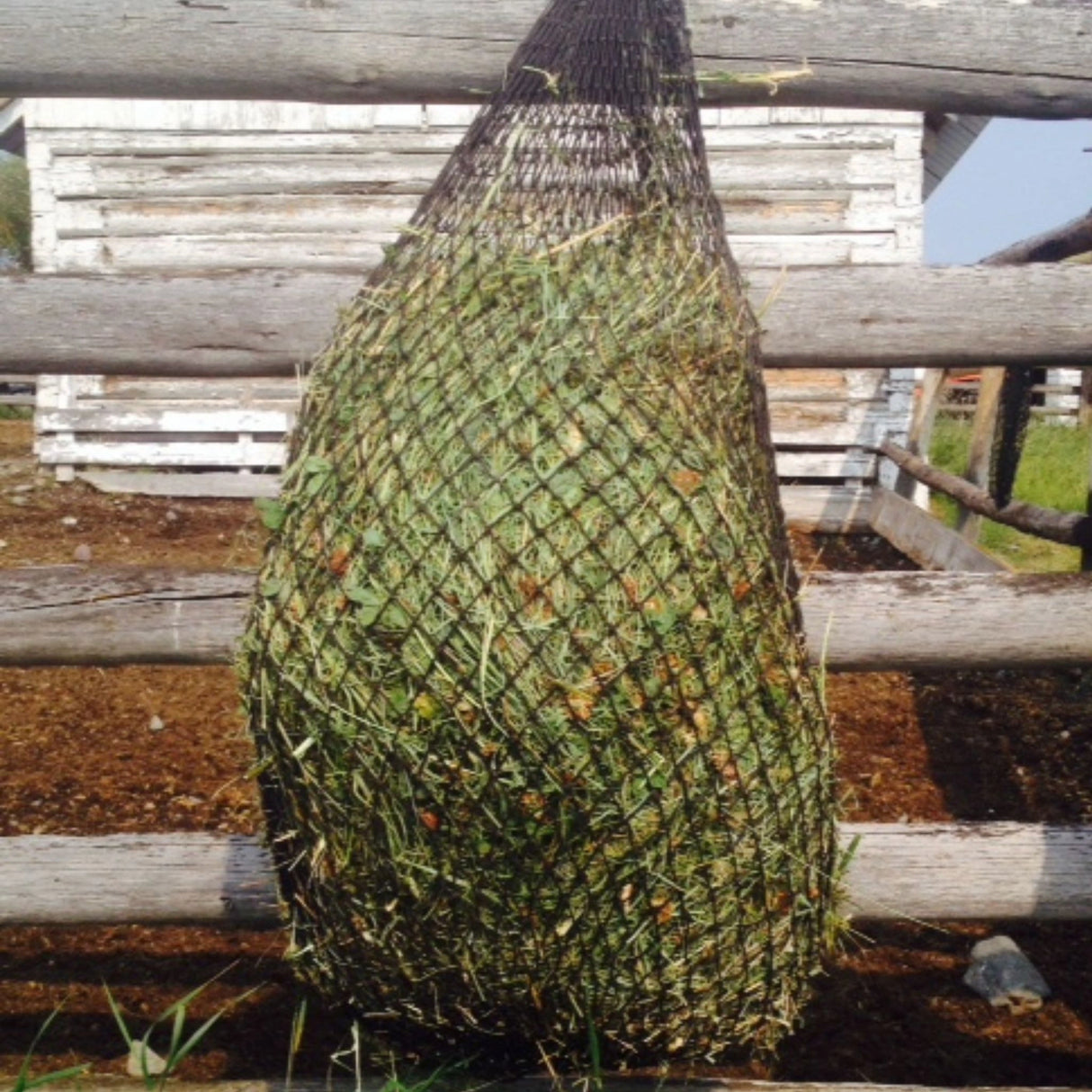 A Purely Ponies Hay Net Day Size Slow Feed being used in a farm, outdoors of Kamloops, British Colombia