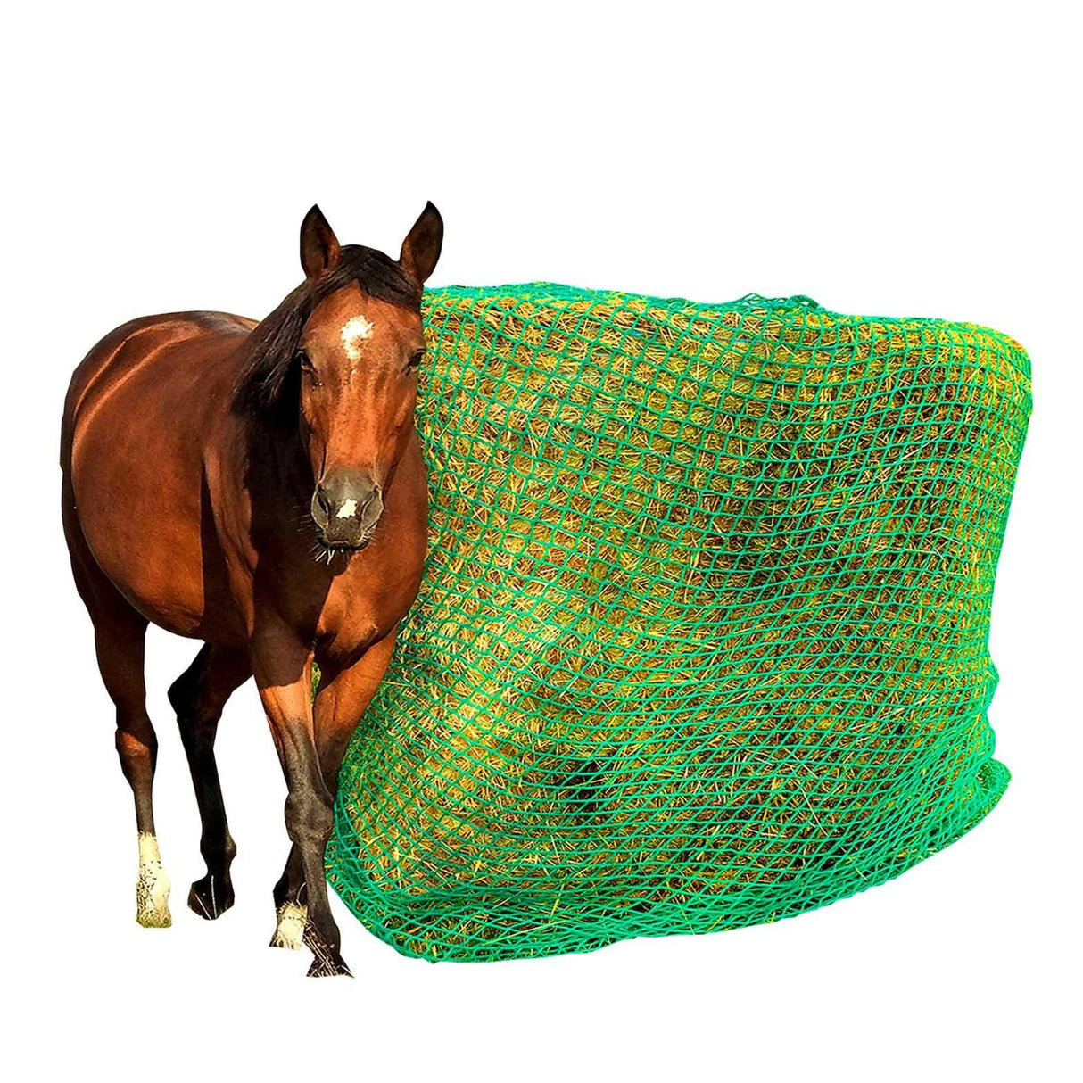 A horse standing beside a Purely Ponies Hay Net Slow Feed Round Bale on a white background
