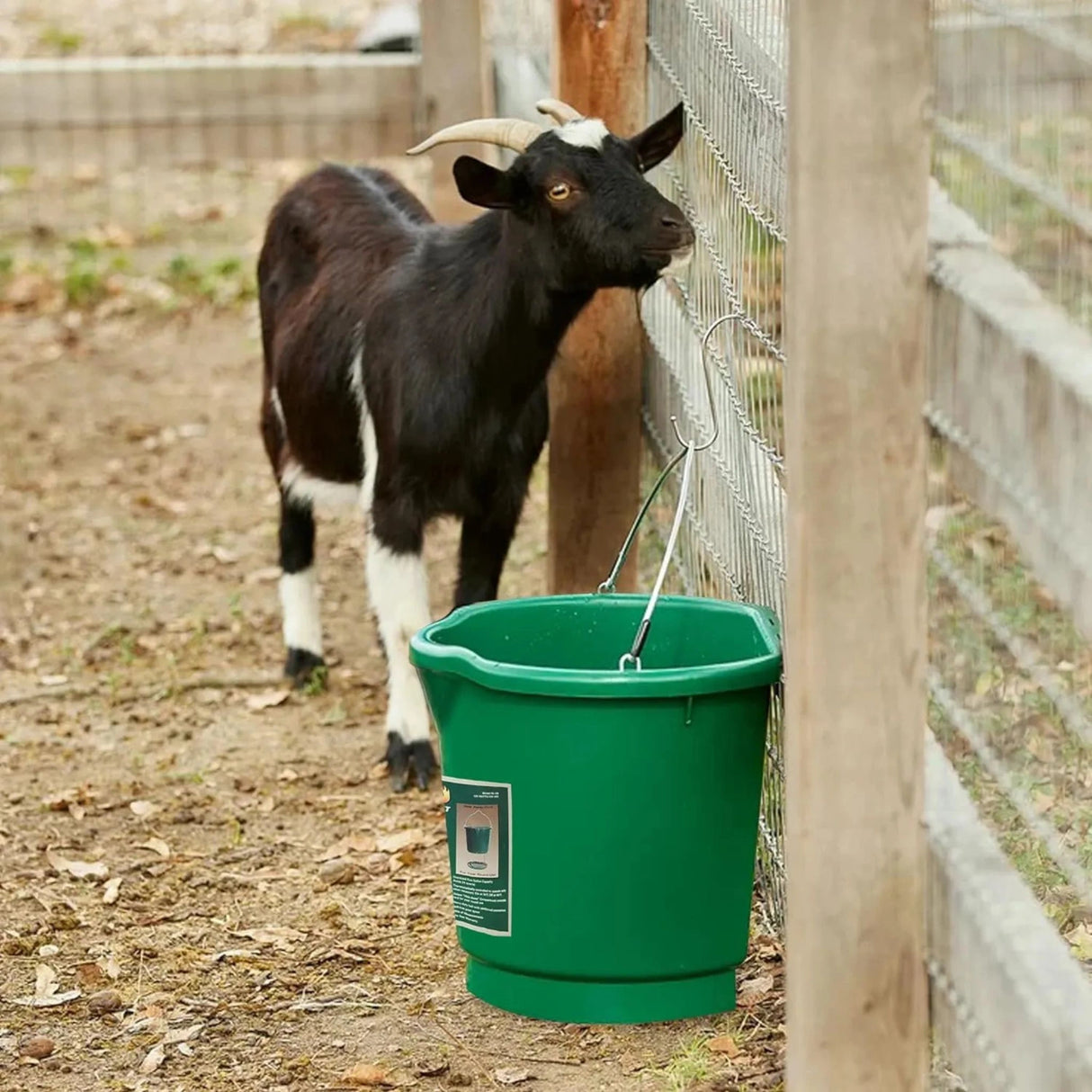 A 5 Gallon Flat-Back Heated Tub in used and hanged on a fence, providing fresh water for animals in cold weather in Kamloops, British Colombia