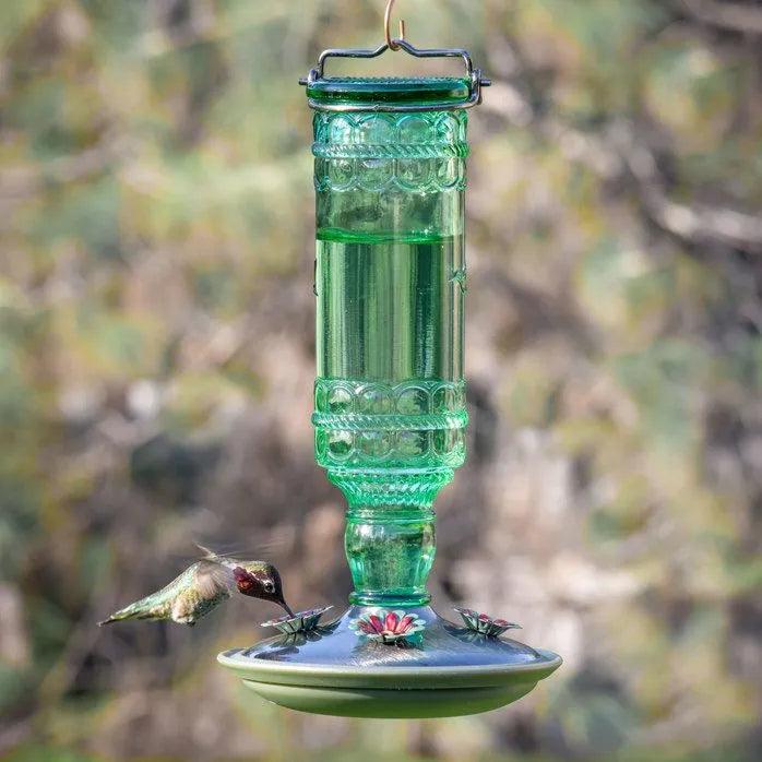 Perky Pet Antique Bottle Glass Hummingbird Feeder - 10 oz with Built-In Ant Moat