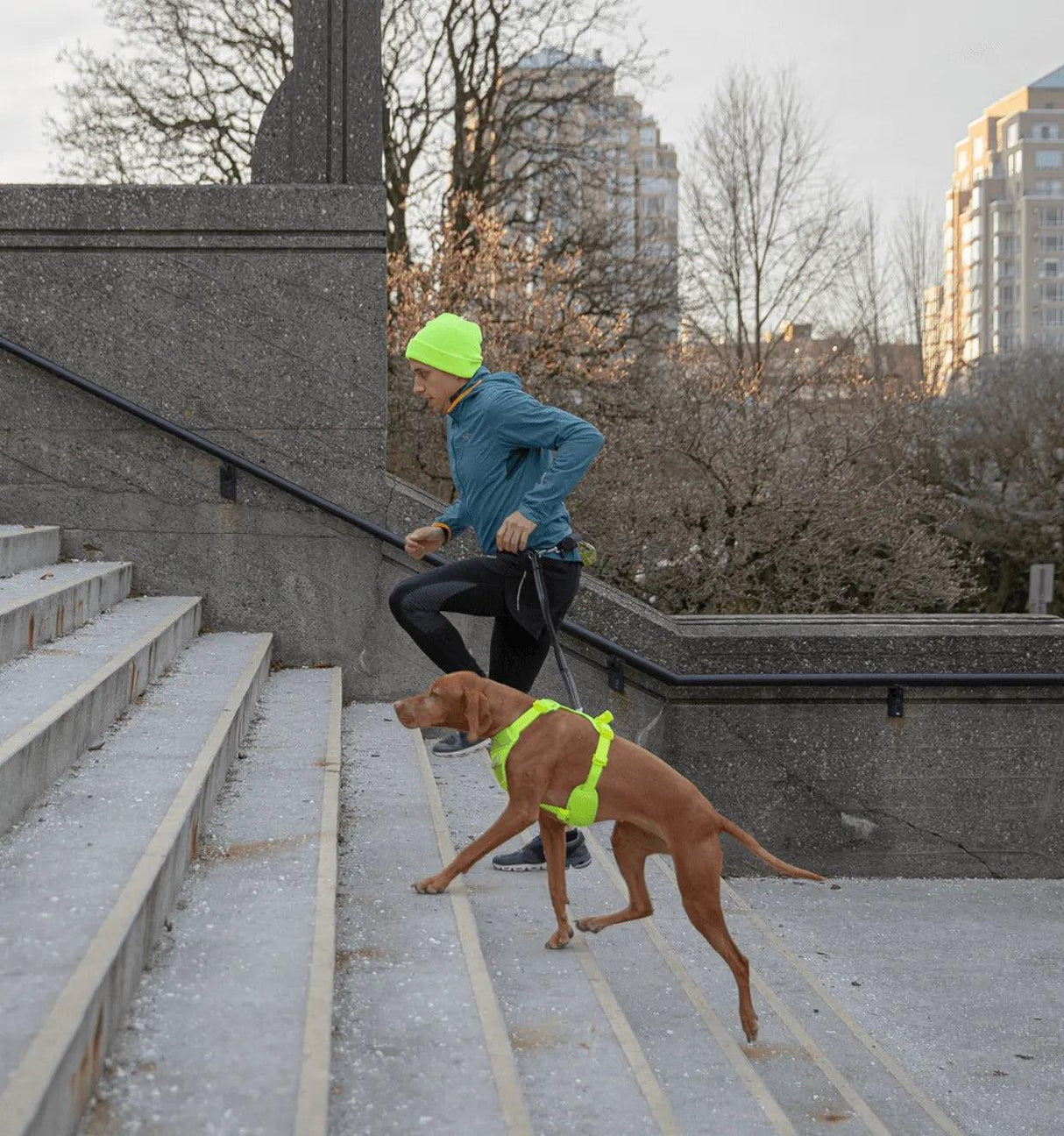 Dog Harness | Momentum Control | RC Pets