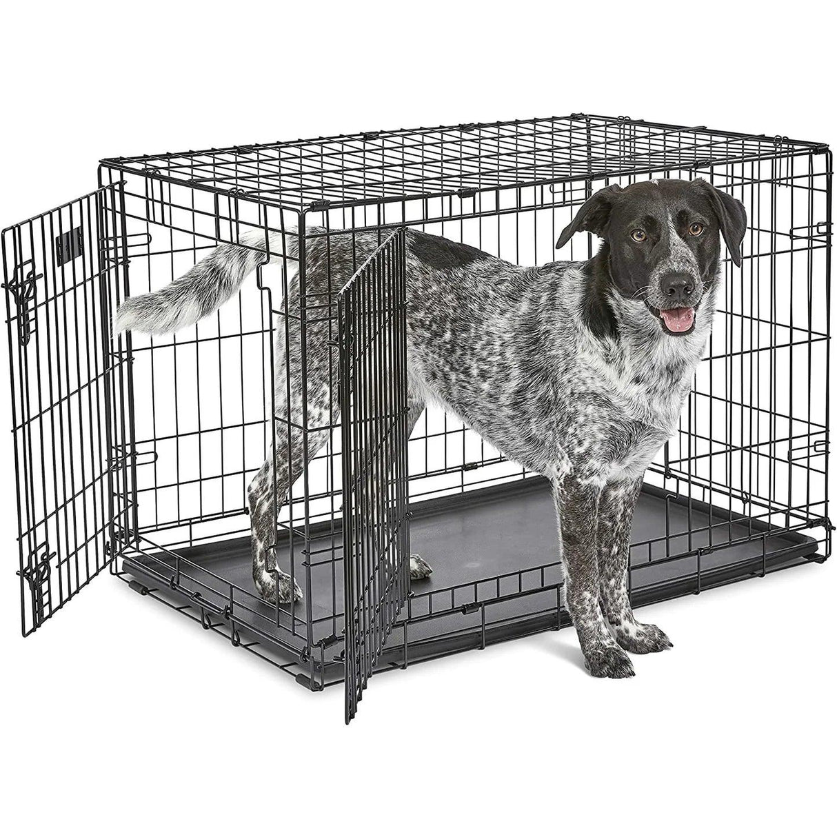 Pet Crate|Double Door|Wire Mesh|Budz Deluxe