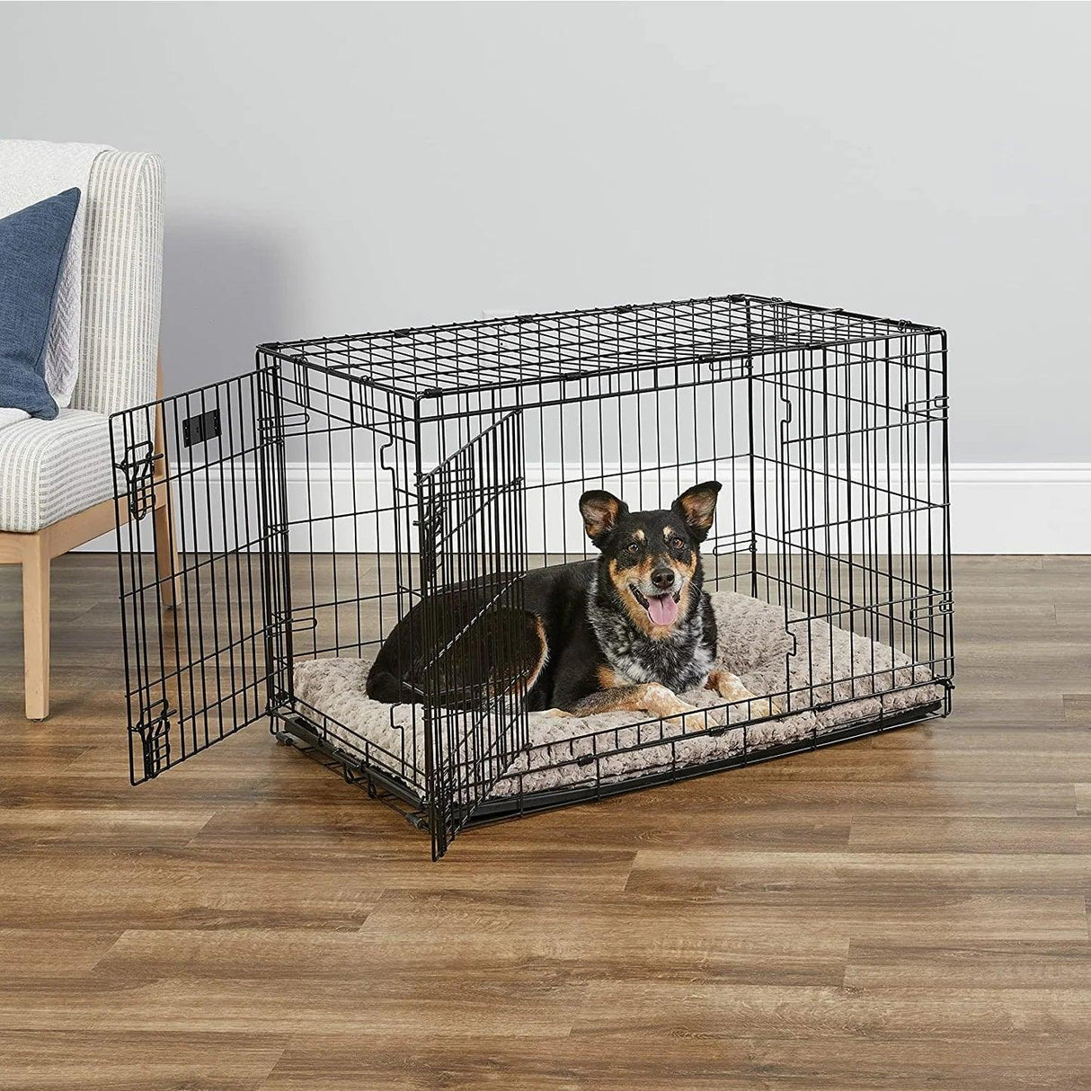 Pet Crate|Double Door|Wire Mesh|Budz Deluxe